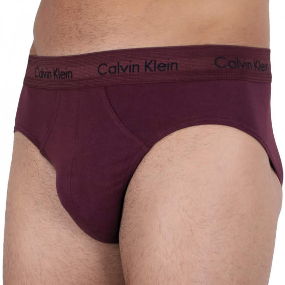 3PACK Férfi slip alsónadrág Calvin Klein tarka (U2661G-RSZ)