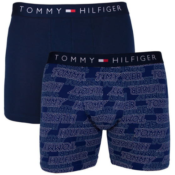 2PACK tarka Tommy Hilfiger férfi boxeralsó (UM0UM00940 066)