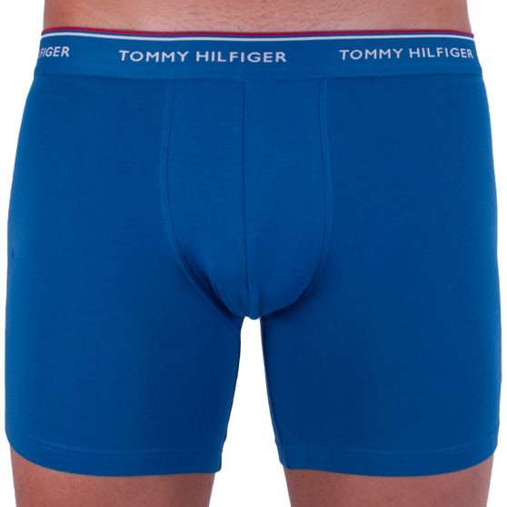 3PACK tarka Tommy Hilfiger férfi boxeralsó (UM0UM00010 071)