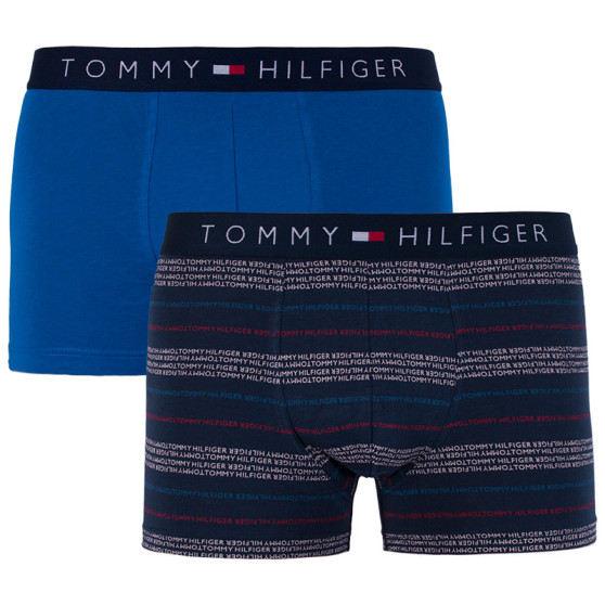 2PACK tarka Tommy Hilfiger férfi boxeralsó (UM0UM00945 047)
