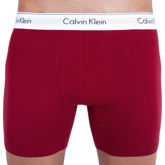 2PACK tarka Calvin Klein férfi boxeralsó (NB1087A-LKQ)