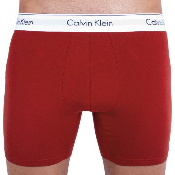2PACK tarka Calvin Klein férfi boxeralsó (NB1087A-YRP)