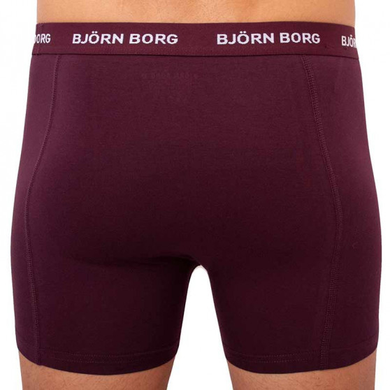 5PACK többszínű Bjorn Borg férfi boxeralsó (2031-1041-81421)