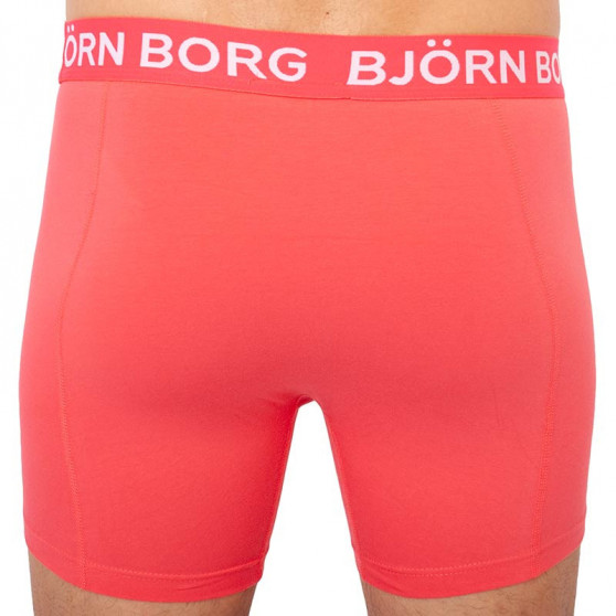 3PACK tarka Bjorn Borg férfi boxeralsó (1921-1504-70391)