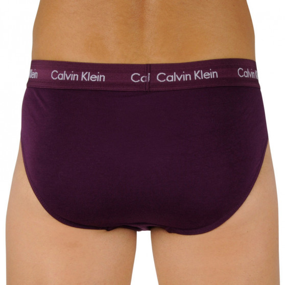 3PACK Férfi slip alsónadrág Calvin Klein tarka (U2661G-WHF)
