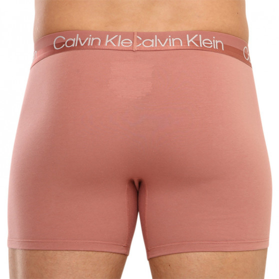 3PACK tarka Calvin Klein férfi boxeralsó (NB2971A-1RM)