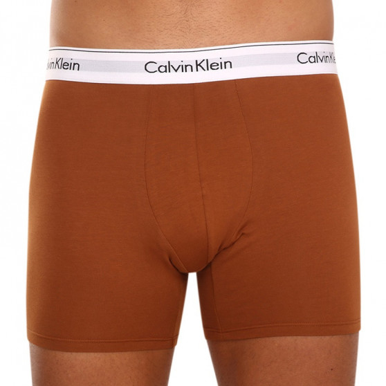 3PACK tarka Calvin Klein férfi boxeralsó (NB3345A-8MC)