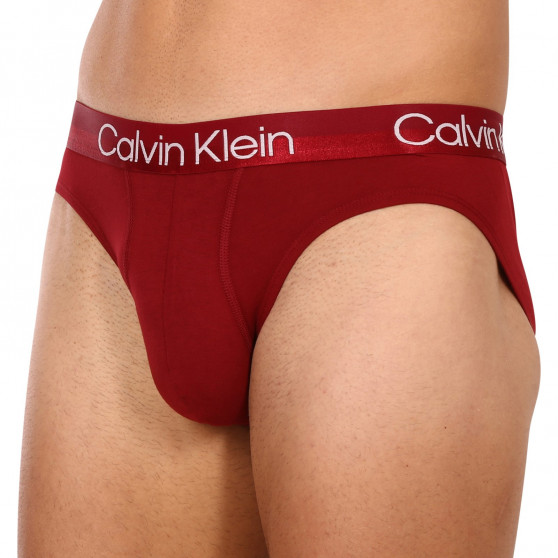 3PACK tarka Calvin Klein férfi fecske alsó (NB2969A-6IN)