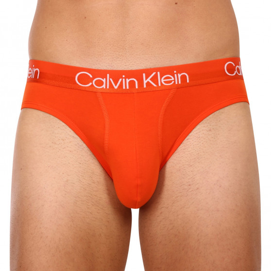 3PACK tarka Calvin Klein férfi fecske alsó (NB2969A-6IN)