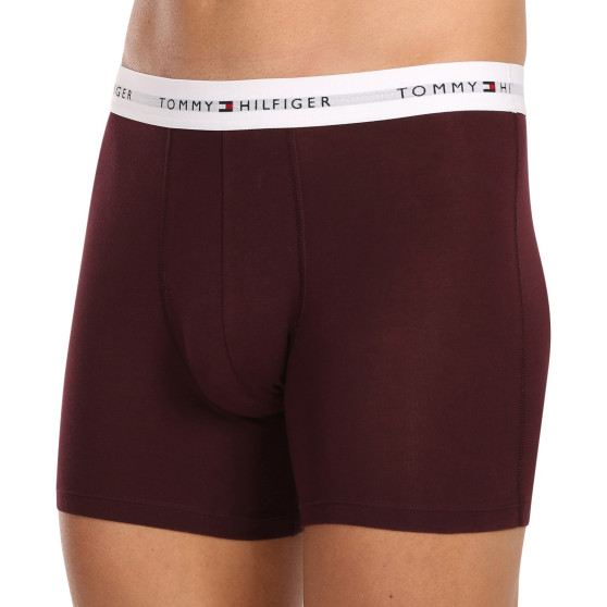 3PACK többszínű Tommy Hilfiger férfi boxeralsó (UM0UM02941 0U6)