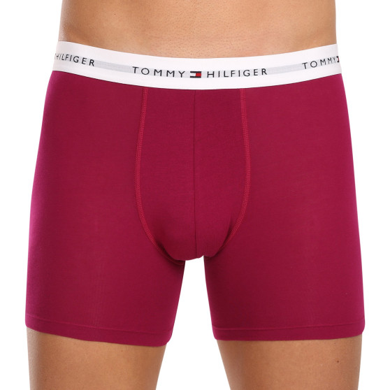 3PACK többszínű Tommy Hilfiger férfi boxeralsó (UM0UM02941 0U6)