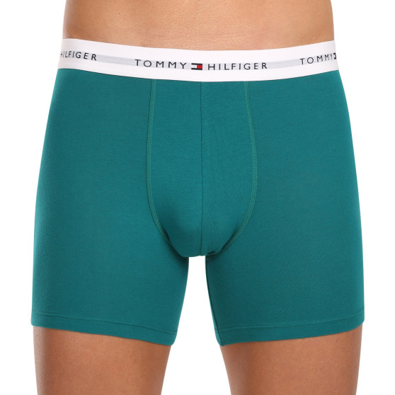 3PACK többszínű Tommy Hilfiger férfi boxeralsó (UM0UM02941 0U6)