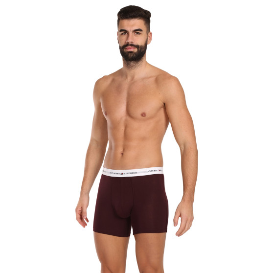 3PACK többszínű Tommy Hilfiger férfi boxeralsó (UM0UM02941 0U6)