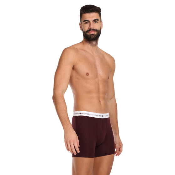 3PACK többszínű Tommy Hilfiger férfi boxeralsó (UM0UM02941 0U6)