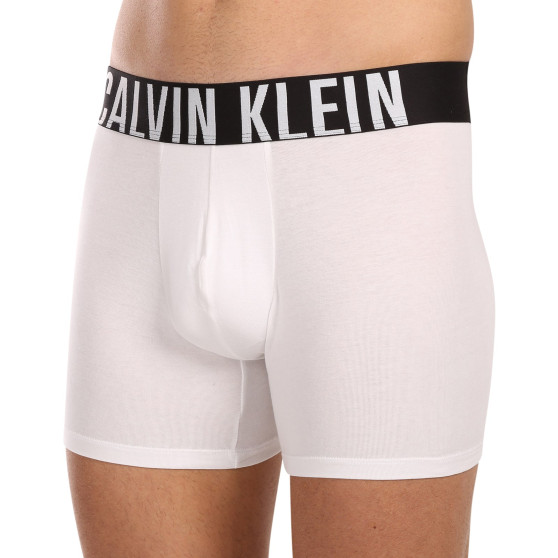 3PACK tarka Calvin Klein férfi boxeralsó (NB3609A-MP1)