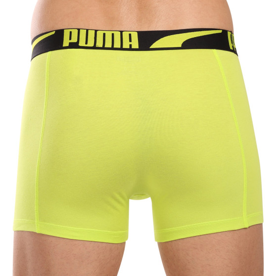 2PACK tarka Puma férfi boxeralsó (701225876 001)