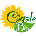 Cigale